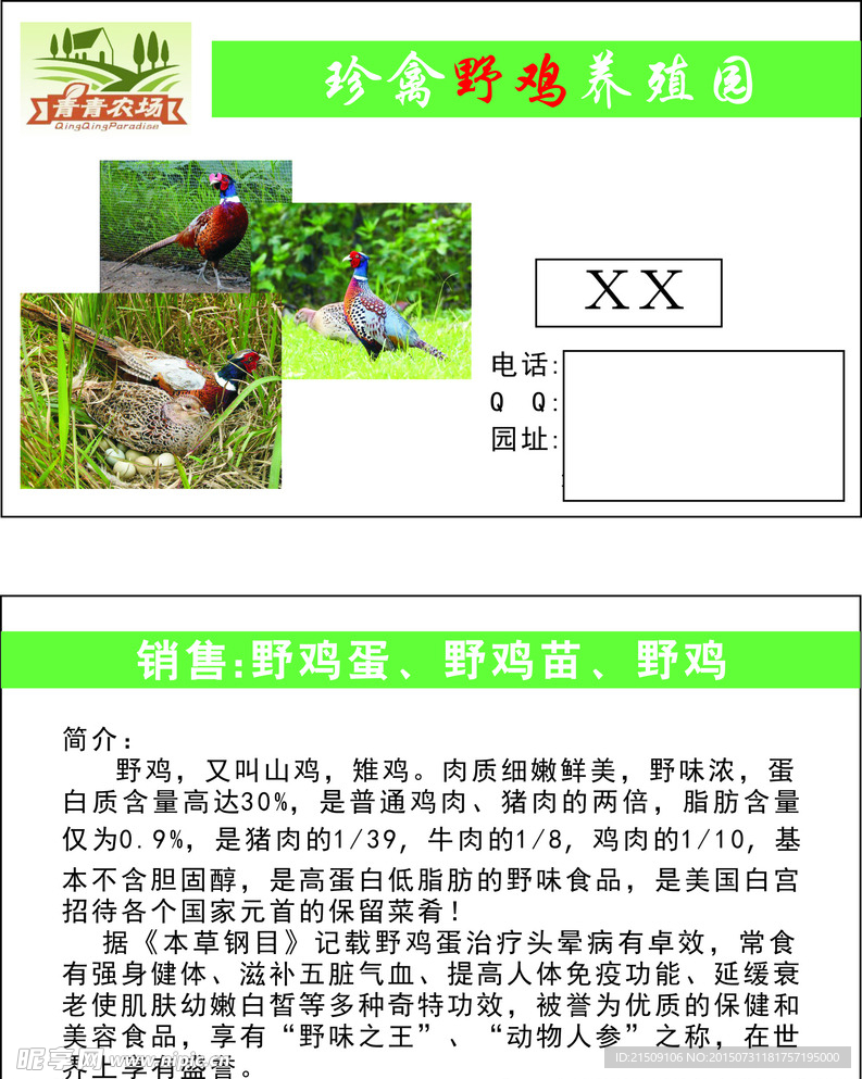 野鸡蛋名片