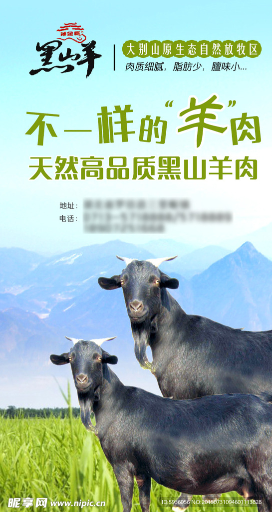 黑山羊广告