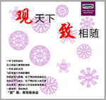 观致  照片墙