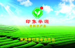 茶背景