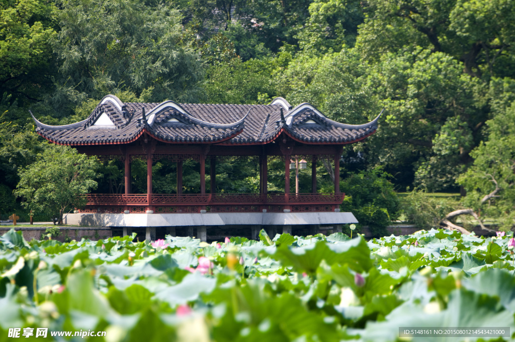 杭州 西湖 旅游 风景