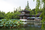 杭州 西湖 旅游 风景