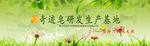绿色草地
