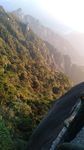 山峰下的森林
