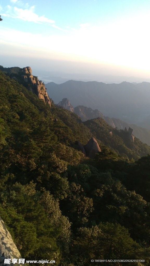 森林的顶峰