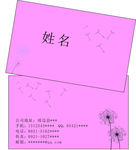 蒲公英名片