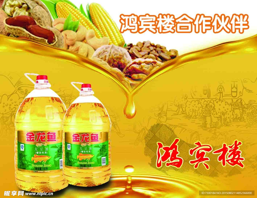 金龙鱼海报