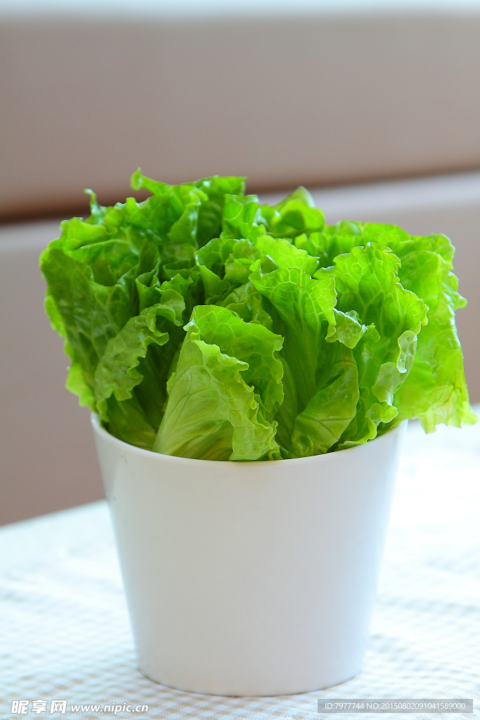 生菜 火锅