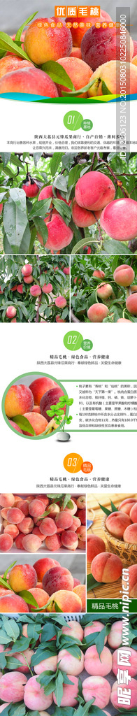 淘宝水果毛桃详情设计