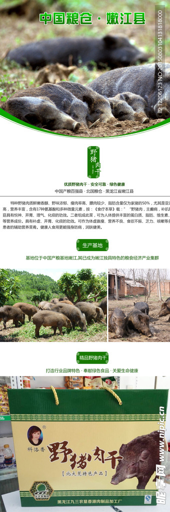 淘宝动物野猪详情设计