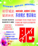 减肥海报