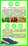 核桃和黑芝麻的作用