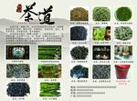 茶叶DM单扉页