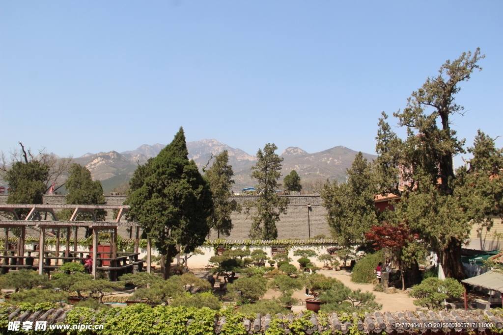 山东泰山
