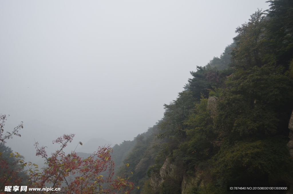 山东泰山