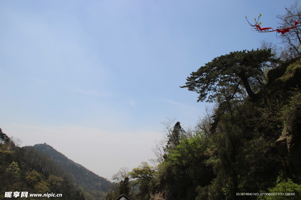 山东泰山