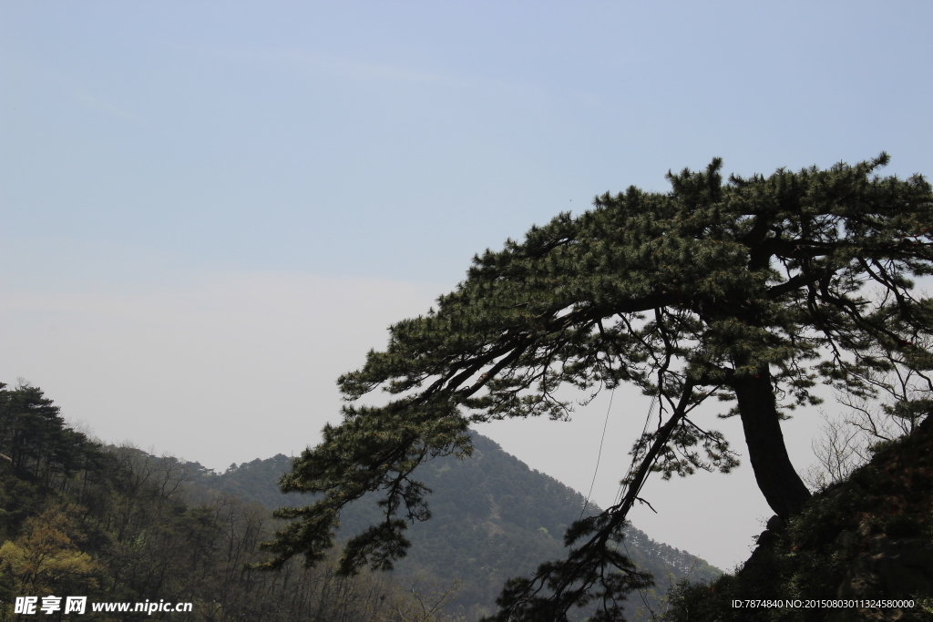 山东泰山