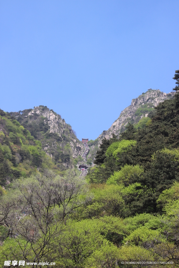 山东泰山