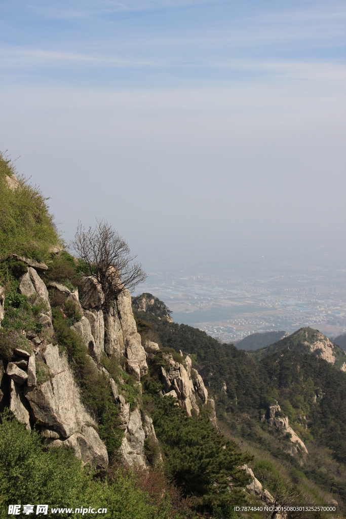 山东泰山