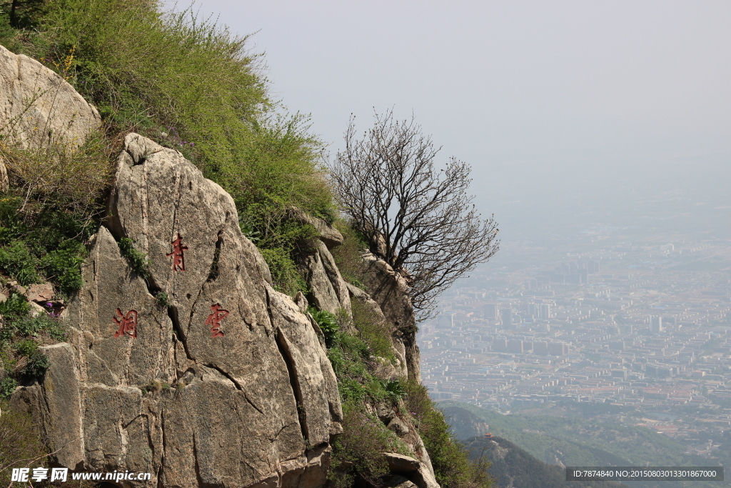 山东泰山