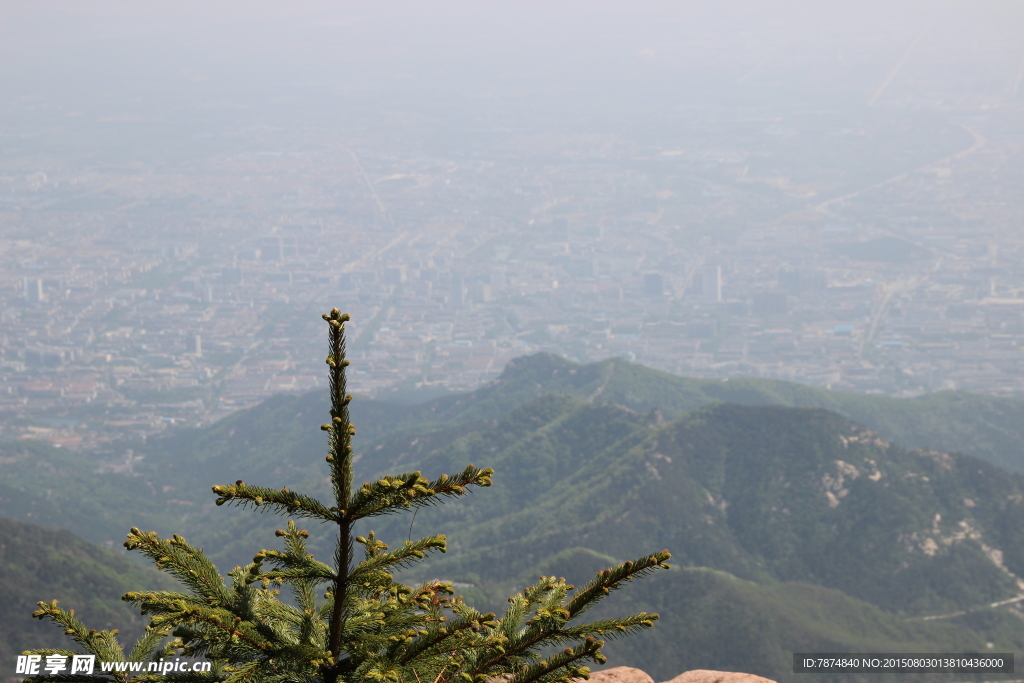 山东泰山