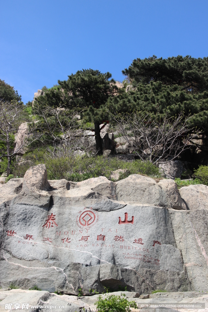 山东泰山