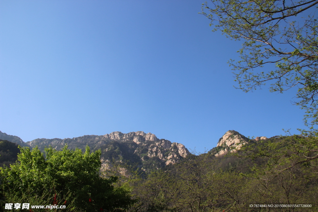 山东泰山