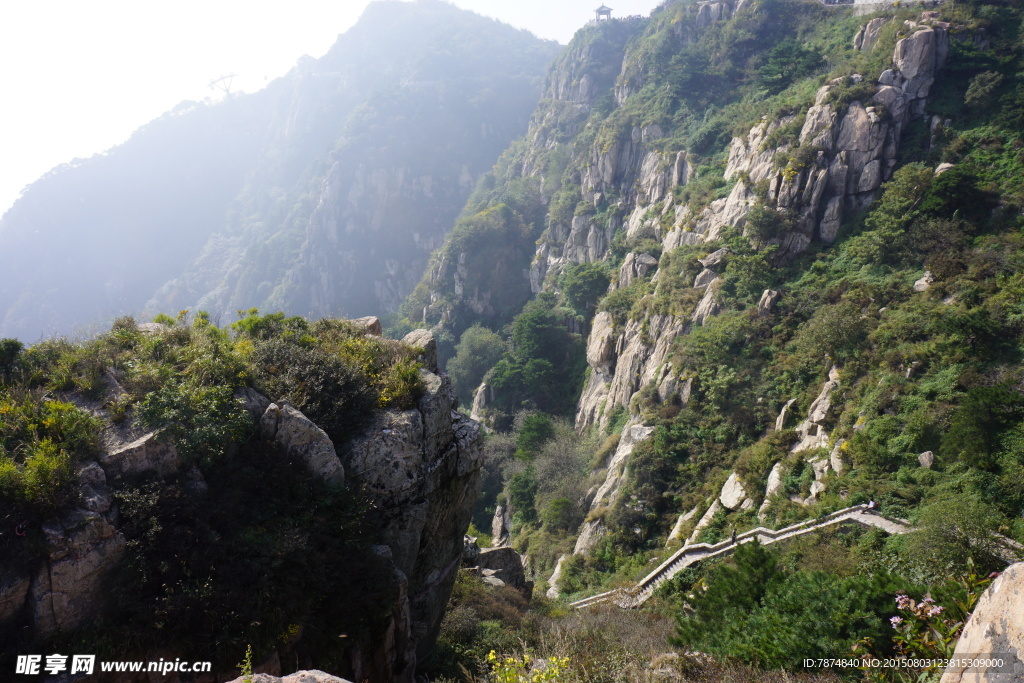 山东泰山