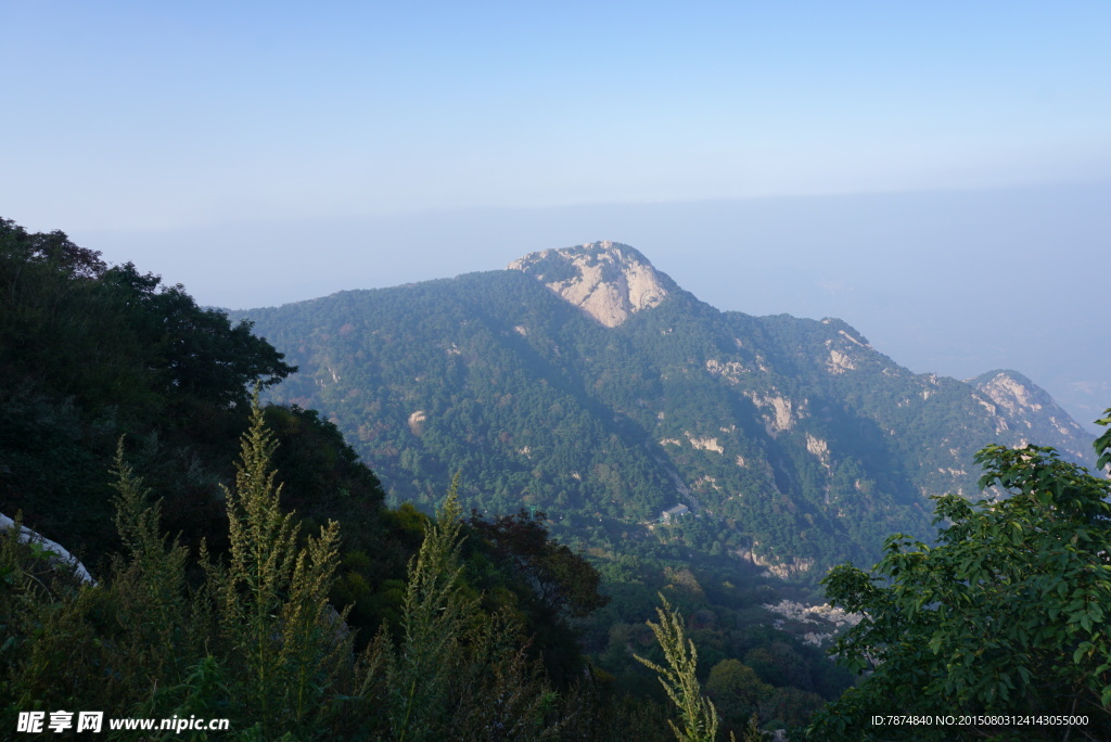 山东泰山