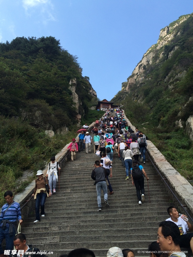 山东泰山