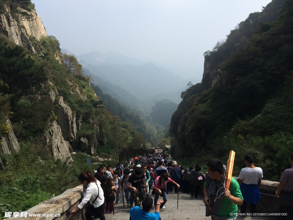 山东泰山