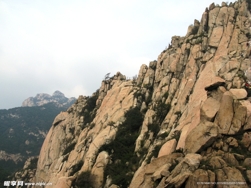 山东泰山