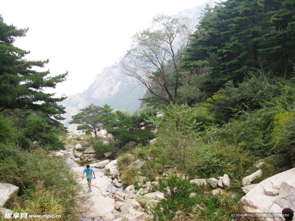 山东泰山