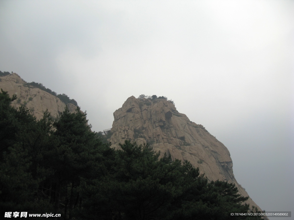 山东泰山