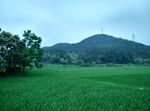 田园风光