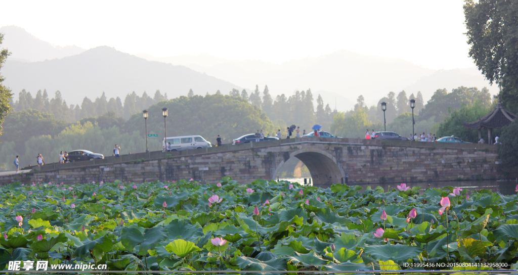 西湖风景