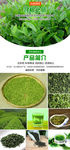 淘宝茶叶绿茶详情设计