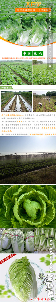 淘宝蔬菜大白菜详情设计