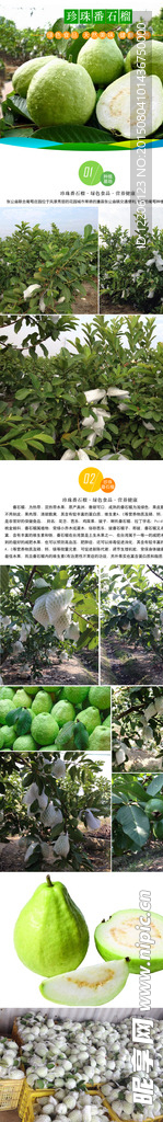 淘宝蔬菜石榴详情设计