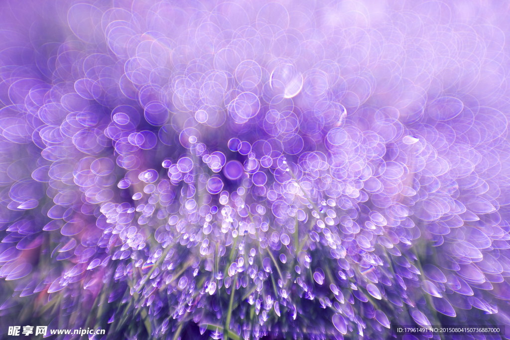 梦幻花朵背景