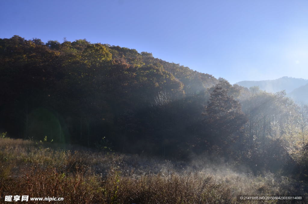 逆光风景