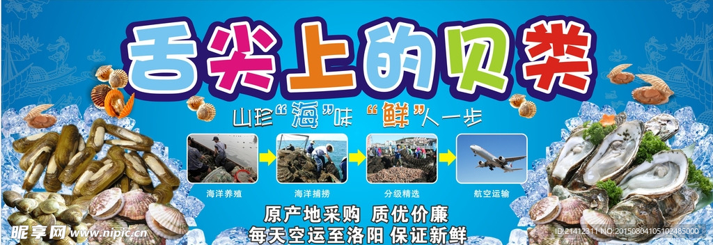 舌尖上的贝类