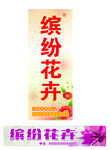 缤纷花卉