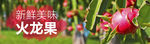 淘宝 火龙果banner