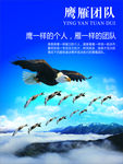 鹰雁团队