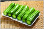 小黄瓜