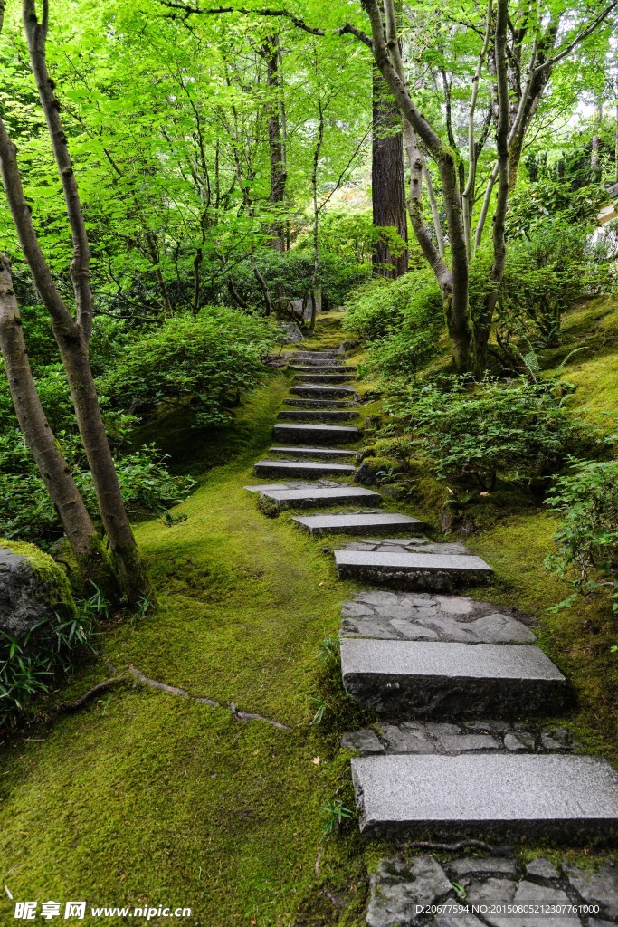 石板路