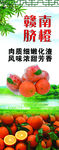赣南脐橙