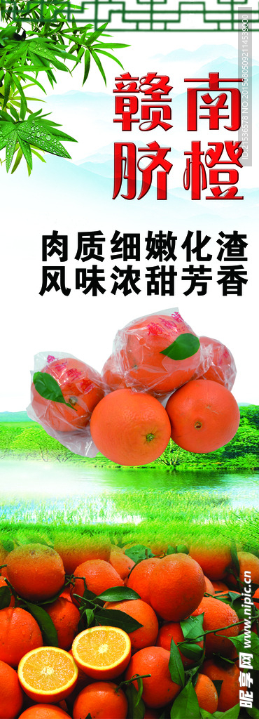 赣南脐橙