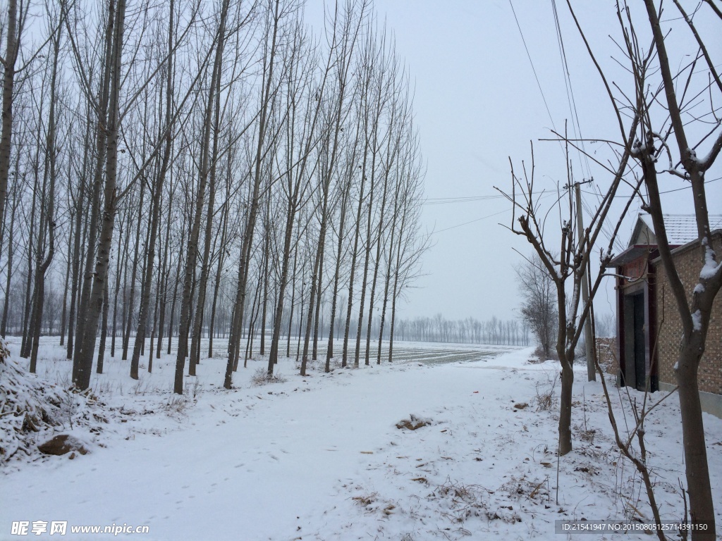 雪后村庄